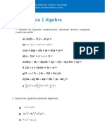 Guia 1 Algebra