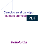 18 poliploidia 20I.pptx.pdf