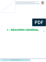 I - Resumen General