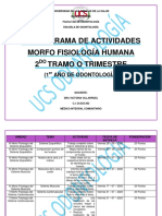 Cronograma de Morfofisiología Humana 2do Tramo