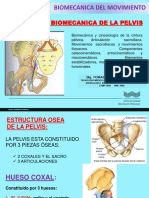 Biomecánica de la Pelvis y Movimientos | PDF | La columna vertebral ...