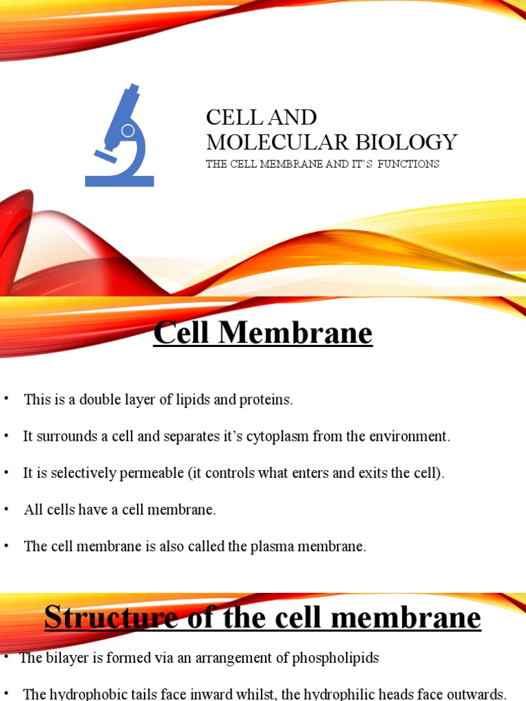Cell Membrane Functions and Structure | PDF | Phospholipid | Cell Membrane