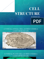 Cell Structure: By: Shemara Paul