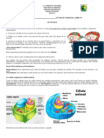 Guia 4 Ciencias