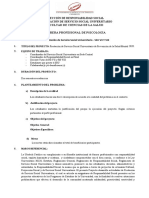 MODELO DE PROYECTO PSICOLOGIA 2020
