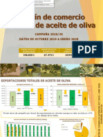 Boletincomercioexterioraceitedeolivacampana2019 20datosoctubre2019 Enero20201 - tcm30 538217