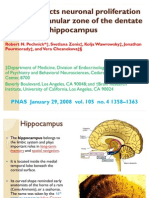 P21cip1 Restricts Neuronal Proliferation in The Sub Granular Zone