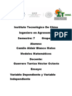 Modelos Matemáticos Ensayo