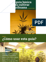 guia-basica-cultivar-marihuana-experiencianatural