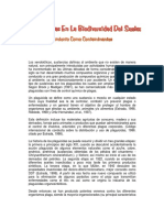 plaguicidas.pdf