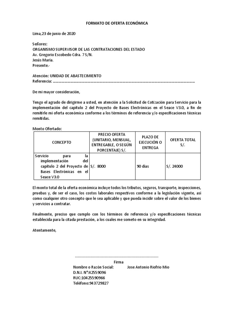 Oferta Económica para Proyecto SEACE V3.0 | PDF