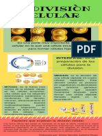 Division Celular PDF