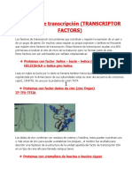 31-07-BIOQUIMICA Factores de Trasnscripcion