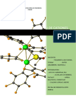 2 Informe GRUPO 1 - CATIONES