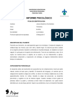 Informe Psicologico