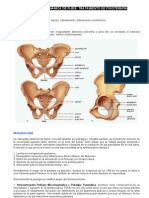 Ap - Osteopatía Dinámica de Pubis