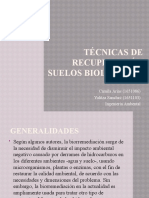 Técnicas de recuperación suelos biológicos