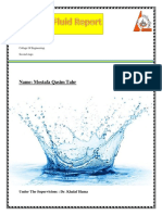 Mostafa Qasim Fluid Report