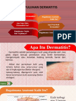 New PPT Dermatitis