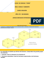 Practica Biologia 5to Sec Lipidos Derivados