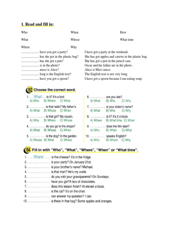 Question Words Practice Exercises | PDF | Language Arts & Discipline