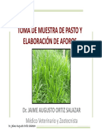 AFORO DE PASTO.pdf