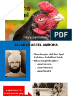 Amroha Aseel2