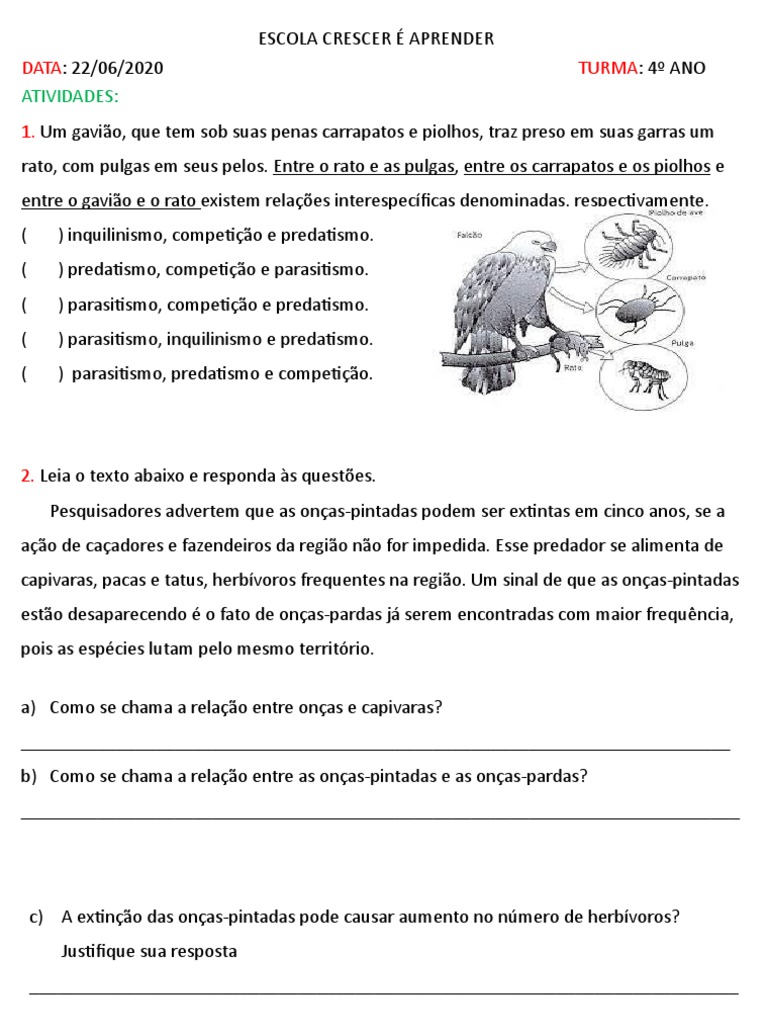 Relações Ecológicas 4º Ano | PDF