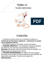 Tema Ix El Tejido Nervioso y Sistema Nervioso