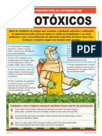 Agrotóxicos PDF