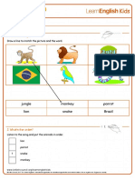 songs-jungles-of-brazil-worksheet.pdf
