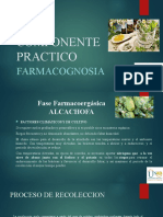 Componente Practico Farmacognosia