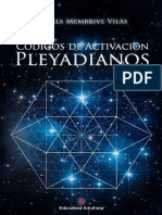 Primeros Codigos PDF