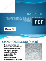 RA-CN300-CCIT.pdf