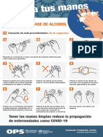 Gel Limpiarse Las Manos RVSD PDF