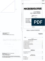 Microbiologie Lucia DEBELEAC