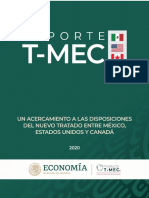 Publicacion Reporte T MEC 2020 Consolidado