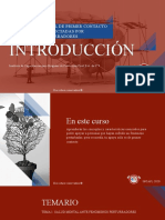 Introducción Apoyo Psicosocial