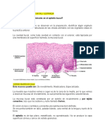 Identificación de Células Animales en El Epitelio Bucal.