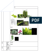 Guía dicotómica de identificación de plantas por características de hojas