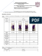 Ecologia P6 Columnas Enriquecimiento y Estratificacion 4QM2 S1 Eq. 2 & 6