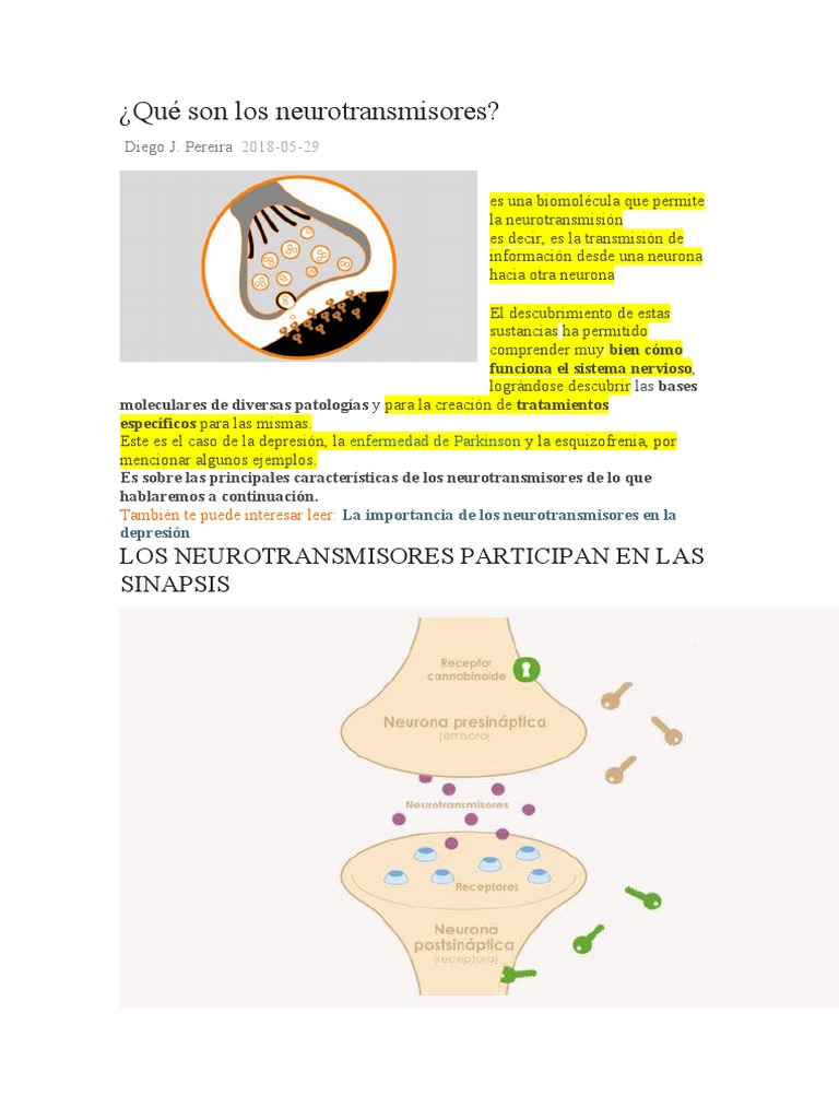 TRABAJO | PDF | Sinapsis | Neurotransmisor