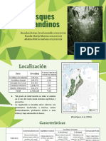 Bosques Subandinos