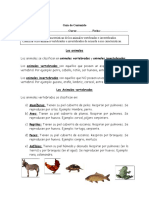 Guía Contenido Vertebrados e Invertebrados 2° básico.doc