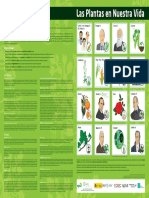 POSTER Plantas A3 WEB PDF