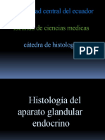 sistema glandular