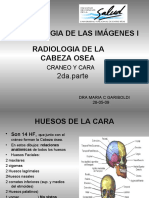 TECNOLOGIA de las IMAGENES-Craneo8 (1)