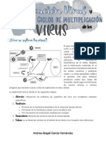 2.- Replicación viral y ciclos de multiplicación de los virus.pdf