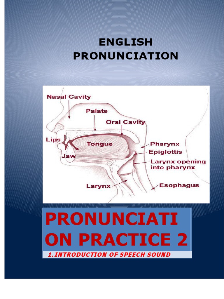 English Pronunciation Practice Guide | PDF | English Language | Human Voice
