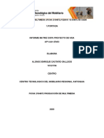 AP1-AA1-EV03 Informe Matriz DOFA Proyecto de Vida